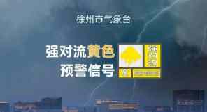 大雨！局部暴雨！8级大风！刚刚，徐州气象发布黄色预警